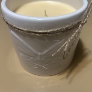 100 % Soy Island Oasis 16oz